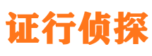 桃江侦探公司